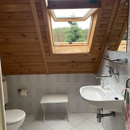 Holiday home Dom W Lesie Nad Jeziorem Kaszuby Dabrowka (Koscierzyna)
