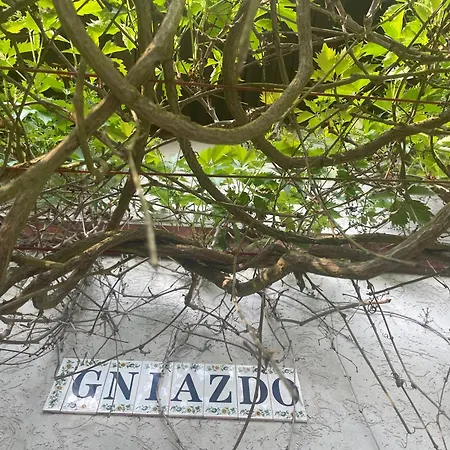 Dom W Lesie Nad Jeziorem Kaszuby - Gniazdo *