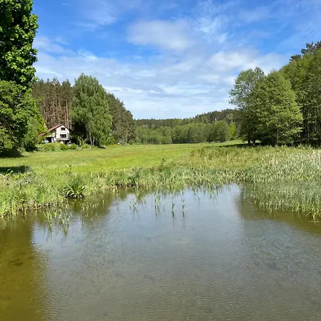 Feriehus Dom W Lesie Nad Jeziorem Kaszuby - Gniazdo *