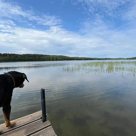 Dom W Lesie Nad Jeziorem Kaszuby