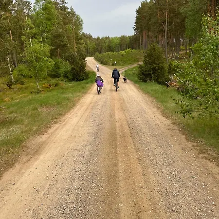 Dom W Lesie Nad Jeziorem Kaszuby - Gniazdo * Dabrowka (Koscierzyna)