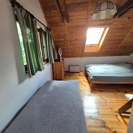 Feriehus Dom W Lesie Nad Jeziorem Kaszuby - Gniazdo