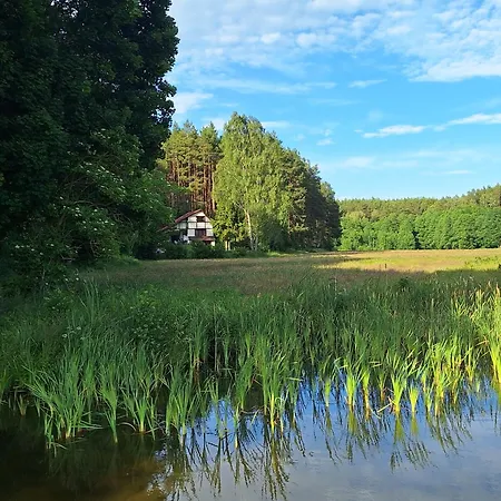 Feriehus Dom W Lesie Nad Jeziorem Kaszuby - Gniazdo Dabrowka (Koscierzyna)