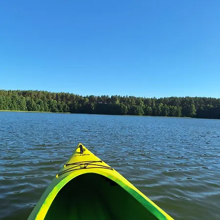 Dom W Lesie Nad Jeziorem Kaszuby - Gniazdo Nyaraló