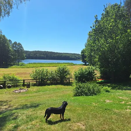Casa vacanze Dom W Lesie Nad Jeziorem Kaszuby - Gniazdo *