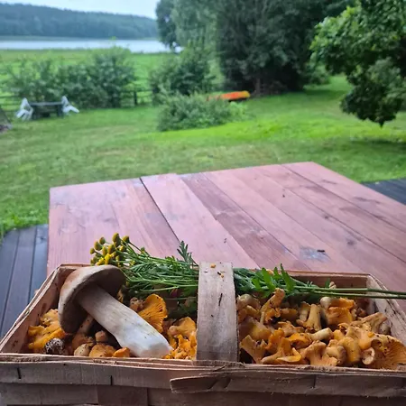 Dom W Lesie Nad Jeziorem Kaszuby - Gniazdo Feriehus Dabrowka (Koscierzyna)