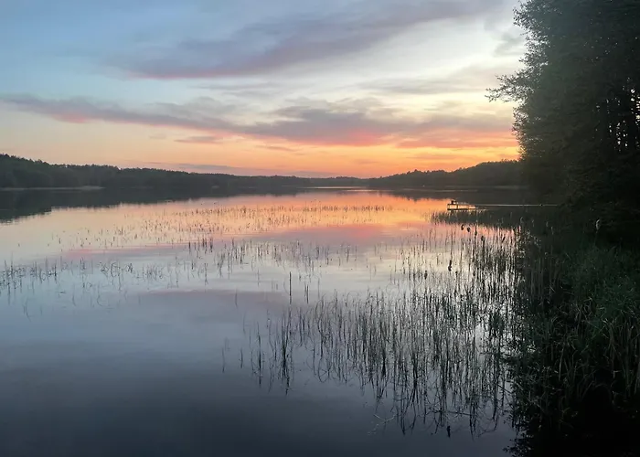Semesterbostad Dom W Lesie Nad Jeziorem Kaszuby - Gniazdo Dabrowka (Koscierzyna)