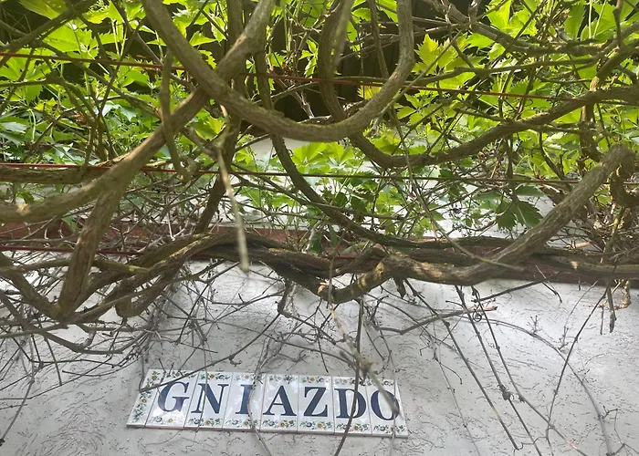 Dom W Lesie Nad Jeziorem Kaszuby - Gniazdo *