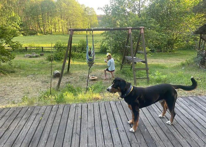 Dom W Lesie Nad Jeziorem Kaszuby - Gniazdo Dabrowka (Koscierzyna)