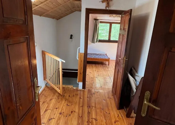 Semesterbostad Dom W Lesie Nad Jeziorem Kaszuby - Gniazdo *