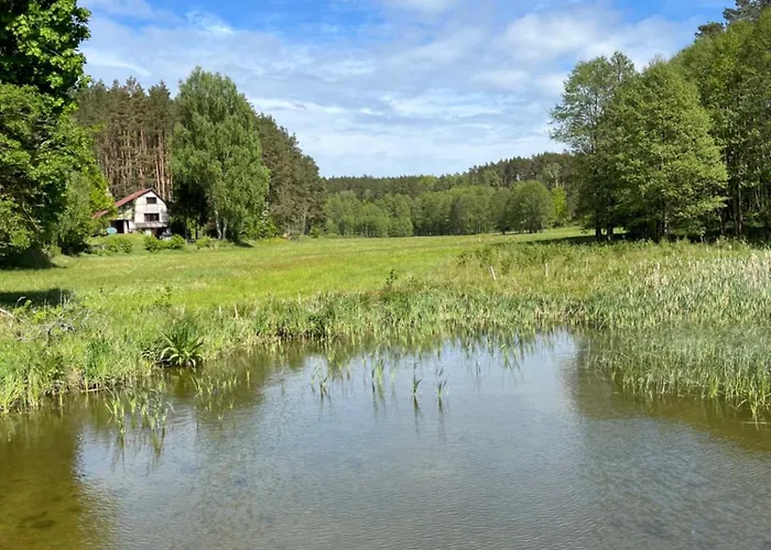 Semesterbostad Dom W Lesie Nad Jeziorem Kaszuby - Gniazdo *