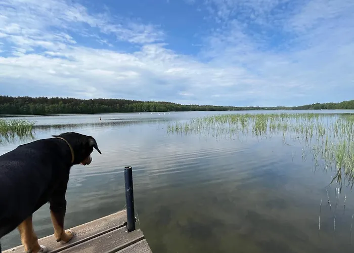 Dom W Lesie Nad Jeziorem Kaszuby - Gniazdo