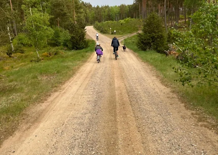 Dom W Lesie Nad Jeziorem Kaszuby - Gniazdo * Dabrowka (Koscierzyna)