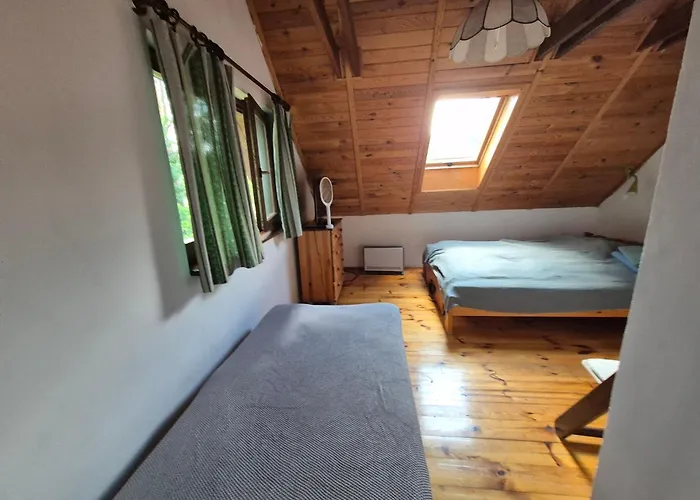 Semesterbostad Dom W Lesie Nad Jeziorem Kaszuby - Gniazdo