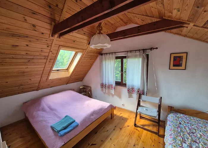 Dom W Lesie Nad Jeziorem Kaszuby - Gniazdo