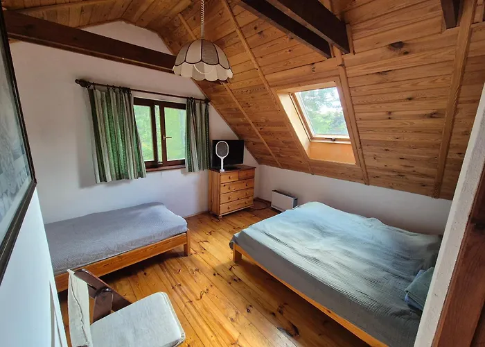 Semesterbostad Dom W Lesie Nad Jeziorem Kaszuby - Gniazdo Dabrowka (Koscierzyna)