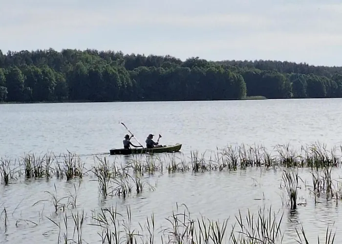 Semesterbostad Dom W Lesie Nad Jeziorem Kaszuby - Gniazdo *
