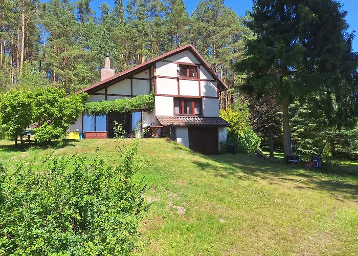 Semesterbostad Dom W Lesie Nad Jeziorem Kaszuby - Gniazdo Dabrowka (Koscierzyna)