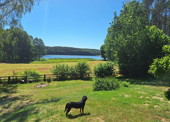 Semesterbostad Dom W Lesie Nad Jeziorem Kaszuby - Gniazdo *