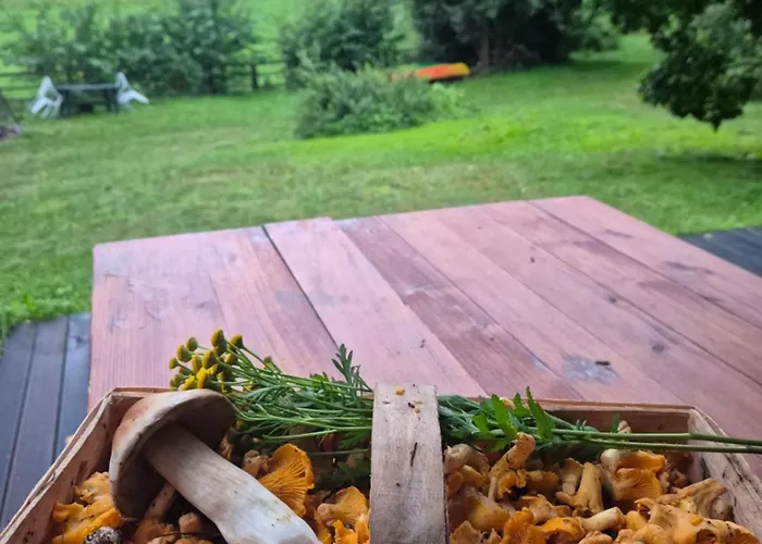 Dom W Lesie Nad Jeziorem Kaszuby - Gniazdo Semesterbostad Dabrowka (Koscierzyna)