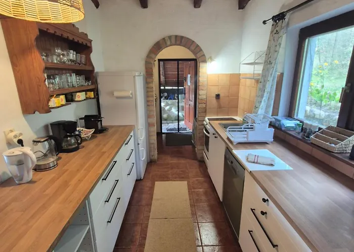 Dom W Lesie Nad Jeziorem Kaszuby - Gniazdo